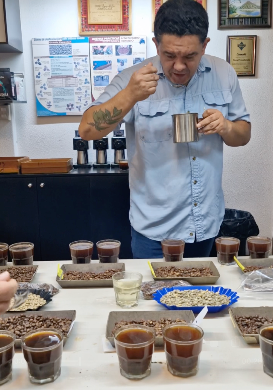 Catación de Café Hummingbean