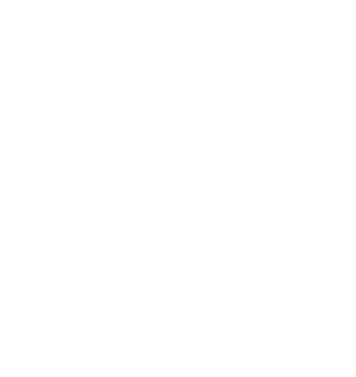 HummingBean Store